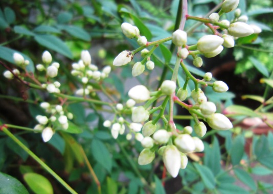 c0125702_181498.jpg