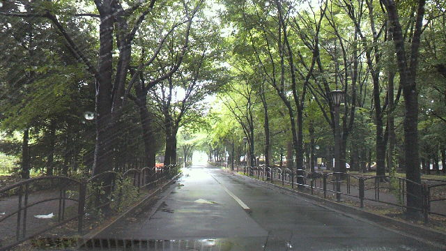 c0092803_13263993.jpg