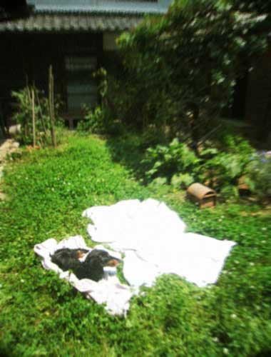 d0077603_855156.jpg