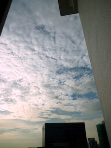 c0148705_19561465.jpg