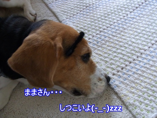 c0205806_19104334.jpg