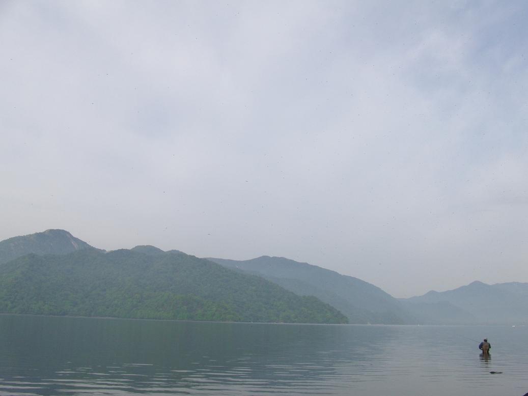d0126708_17494440.jpg