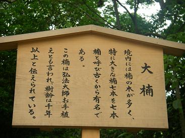 e0087008_9381277.jpg