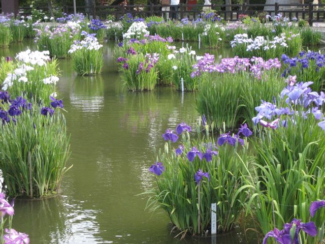 c0114110_9214720.jpg