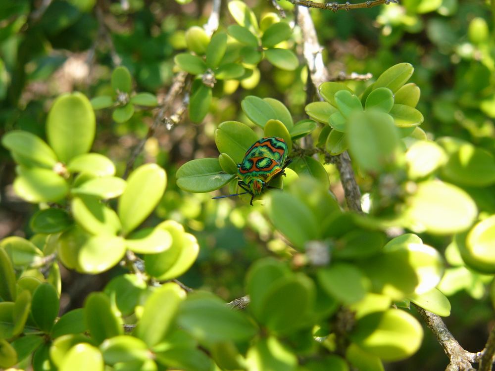 c0062511_6255810.jpg