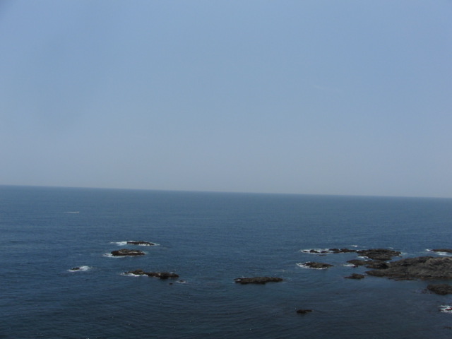 d0117011_5492057.jpg