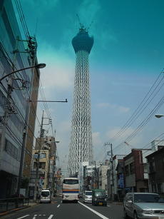 c0101913_7165223.jpg