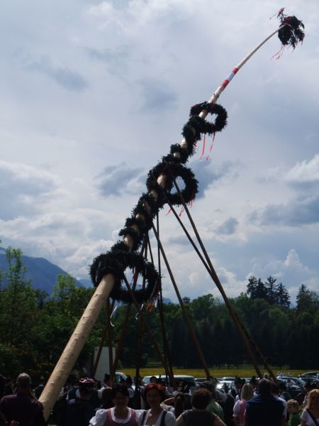 c0167813_1753129.jpg