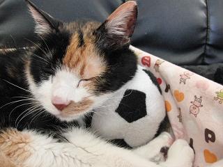 c0201113_22541544.jpg