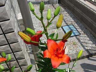 c0201113_2257361.jpg