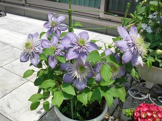 c0201113_23173655.jpg