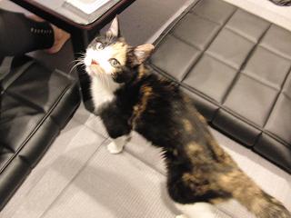c0201113_2334142.jpg