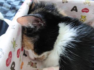 c0201113_23404590.jpg