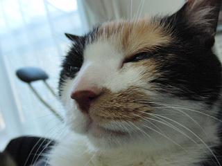 c0201113_234089.jpg
