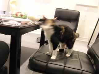 c0201113_23433872.jpg