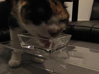 c0201113_23451323.jpg