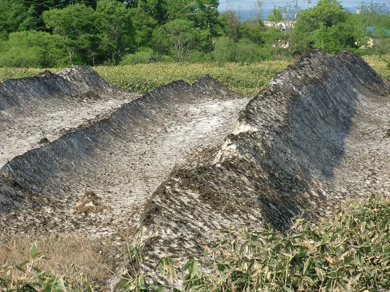 f0213613_16522032.jpg