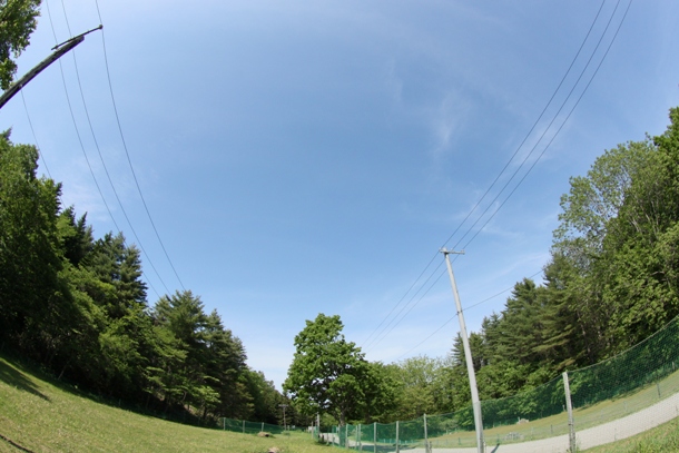 a0109914_0322085.jpg
