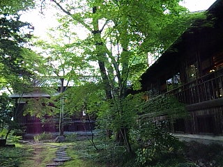 b0073322_6363293.jpg