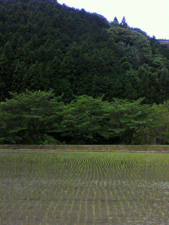 f0036223_20503329.jpg