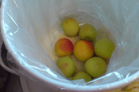 a0062324_133282.gif