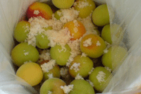 a0062324_141996.gif