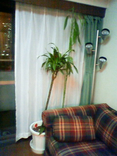 a0101525_13332545.jpg