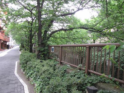 a0127525_0262786.jpg