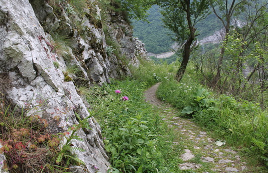 a0163227_20574095.jpg