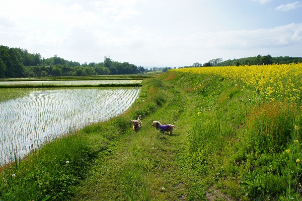f0046128_0241699.jpg