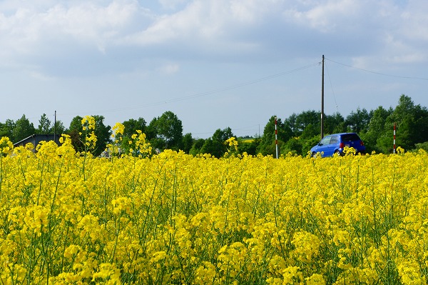f0046128_0262518.jpg