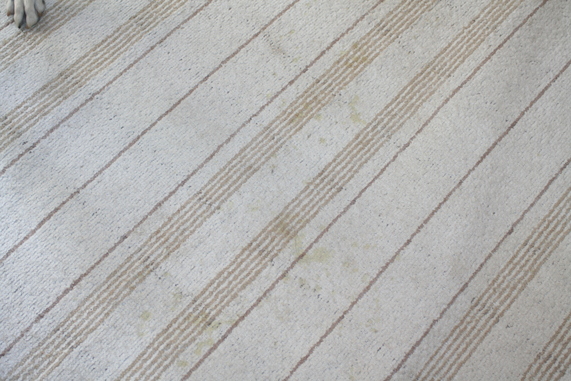 b0085331_21262639.jpg