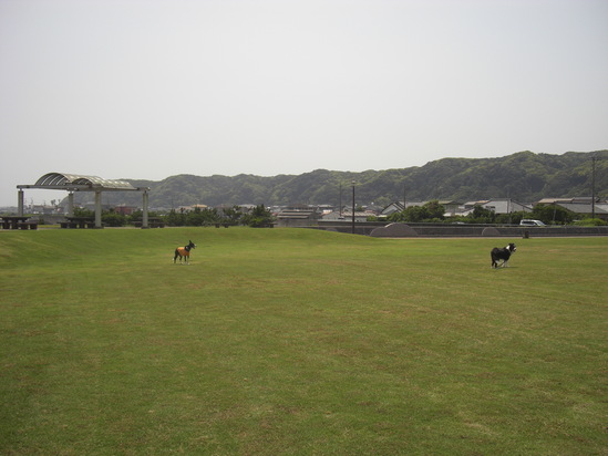 b0085331_8351153.jpg