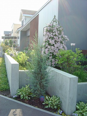 f0205733_2332231.jpg