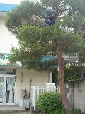 f0167635_6294997.jpg