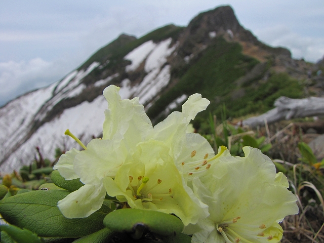 b0097836_16593160.jpg