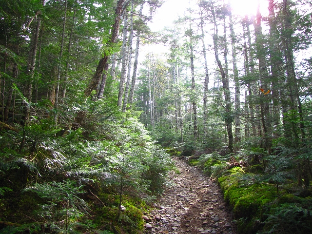 b0097836_17393775.jpg