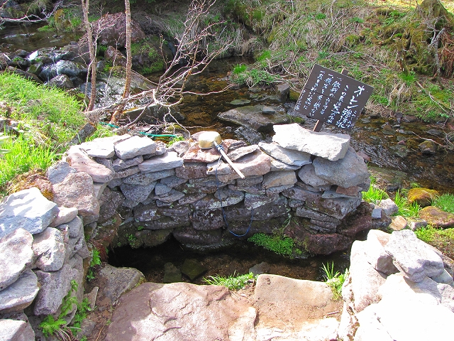 b0097836_17402640.jpg