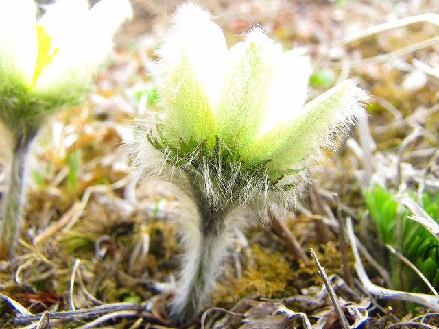 b0097836_1754887.jpg