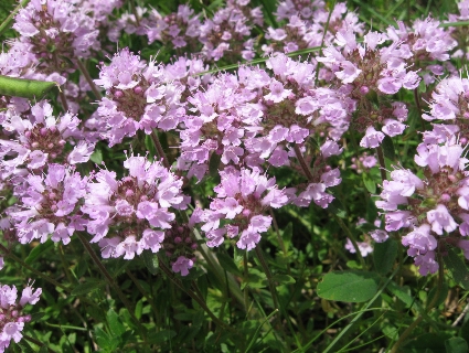 f0234936_23291187.jpg