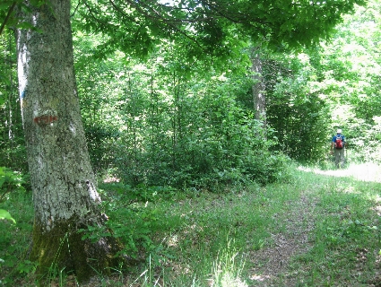 f0234936_2346253.jpg