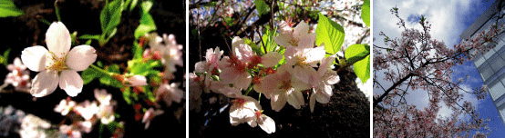 d0061338_2503678.gif