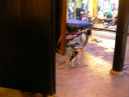 f0104038_20112691.jpg