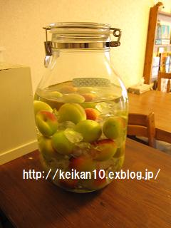 d0126139_12161279.jpg