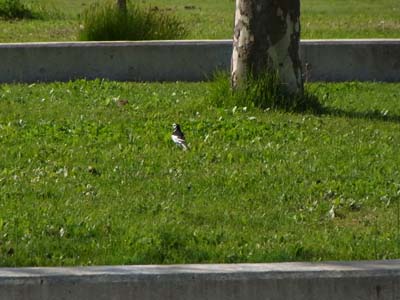 b0019140_1658837.jpg