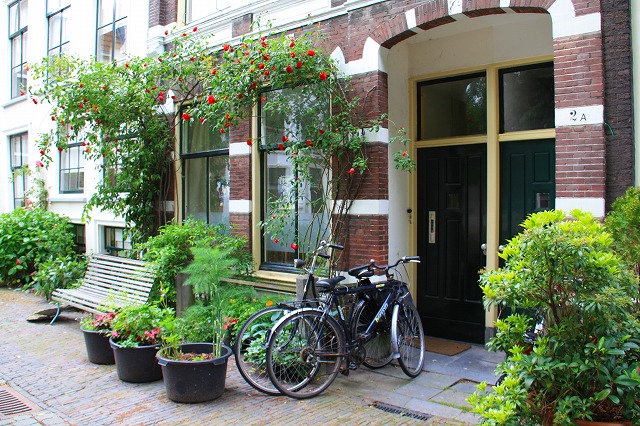 c0153740_329350.jpg