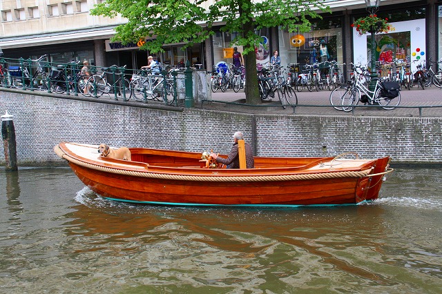 c0153740_3394152.jpg