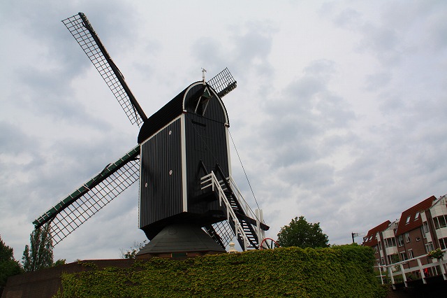 c0153740_3592599.jpg