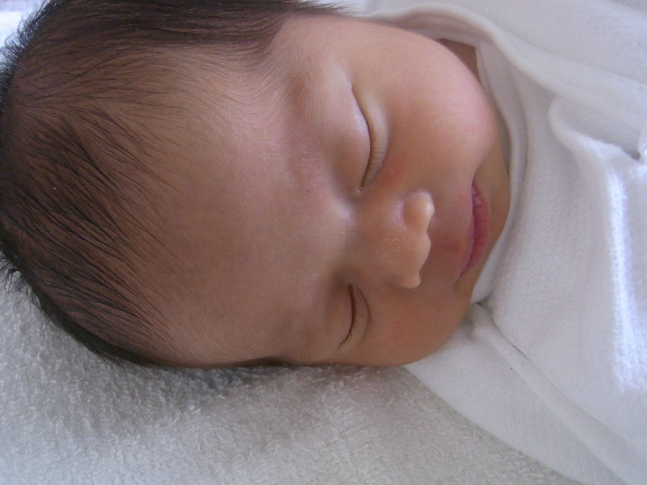 f0082141_9115549.jpg