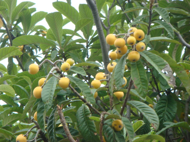 b0097645_004088.jpg